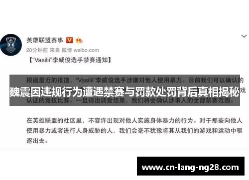 魏震因违规行为遭遇禁赛与罚款处罚背后真相揭秘