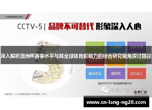 深入解析澳洲杯赛事水平与其全球体育影响力的综合研究视角探讨路径