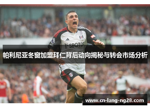 帕利尼亚冬窗加盟拜仁背后动向揭秘与转会市场分析